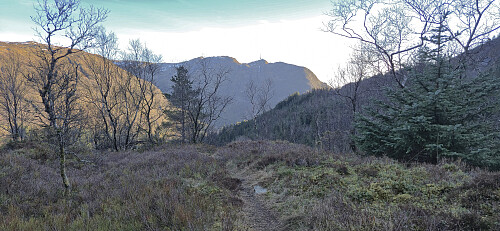 Ulriken from Brakhaugen