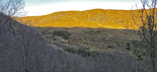 Looking down at Tarlebøveien from the ascent