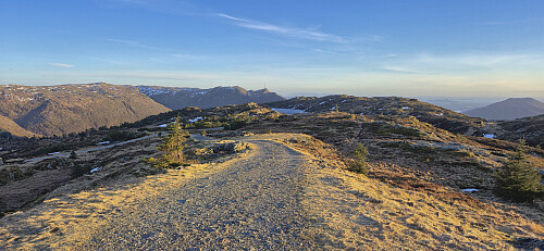 Ulriken from Rundemanen with my ascent route to the left