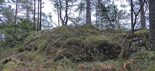The highest point at Sjuråsen
