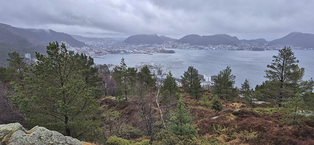 Towards the Bergen city center from Ørneberget