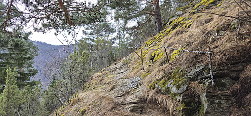 The marked trail to Mjølkeflathytta