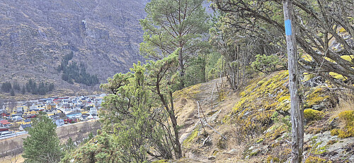 The marked trail to Mjølkeflathytta