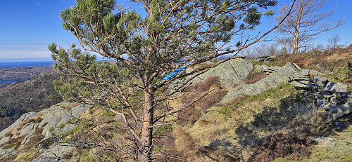 Maybe the reason why I did not spot all of the trail makers during the ascent?