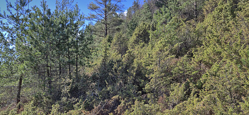 Not the most inviting terrain...