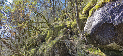 The steep ascent to Storeholten