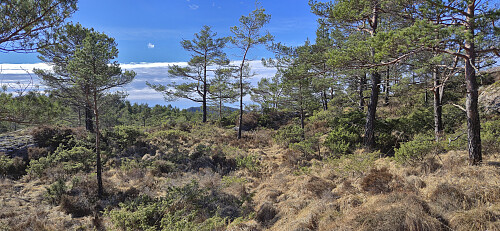 Off-trail towards Bjørnebotnskaret