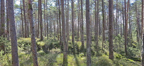 Off-trail towards Bjørnebotnskaret