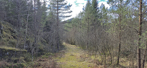 The tractor road west of Eikeliåsen