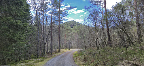 Approaching Mosedotten