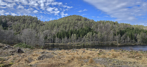 Mosedotten from Langevatnet