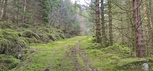 Tractor road towards Mosedotten