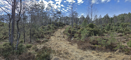 The rougher upper part of the tractor road towards Mosedotten