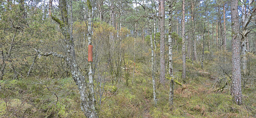 The trailhead for Mosedotten