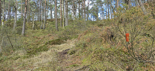 The trail to Mosedotten