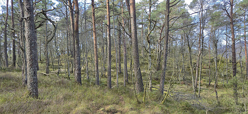 Approaching the summit of Mosedotten