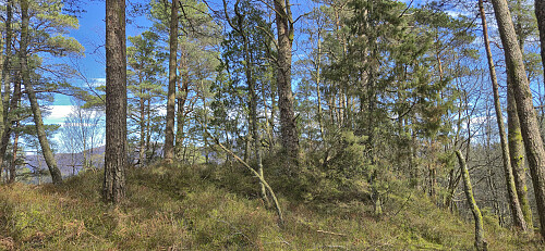 The highest point at Mosedotten