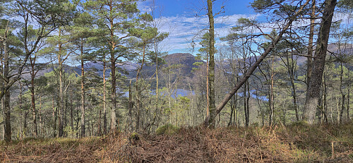 Looking back at Brattelifjellet from Mosedotten