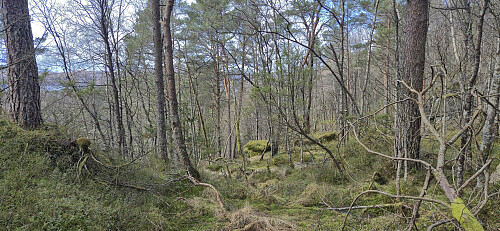 The off-trail descent from Mosedotten