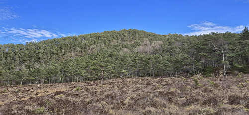 Looking back at Mosedotten from the southwest