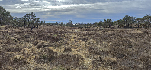 Heading across a wet area to connect with the paved road
