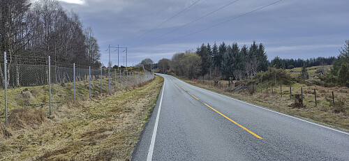 Walking along the road up from Leirvågen fergekai