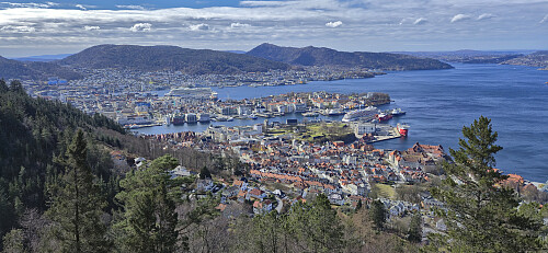 Vågen from Svartberget