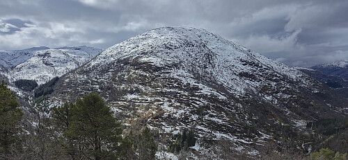 Ruklenuten/Grostølsnuten from Middagsnuten