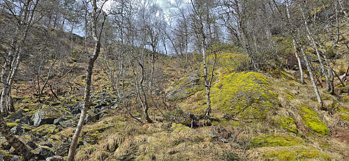 The initial steepish part of the ascent to Nonsnut