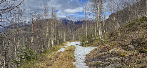 Tractor road at the end/start of Skaret