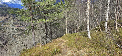 The shortcut to the main road