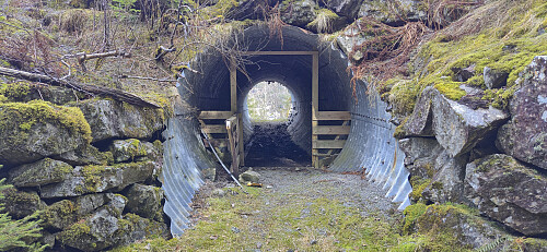 Tunnel under the main road