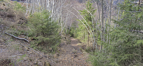 Tractor road/trail from the main road towards Øyna
