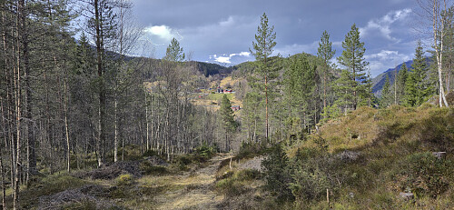 The last part of the tractor road before connecting with the gravel road