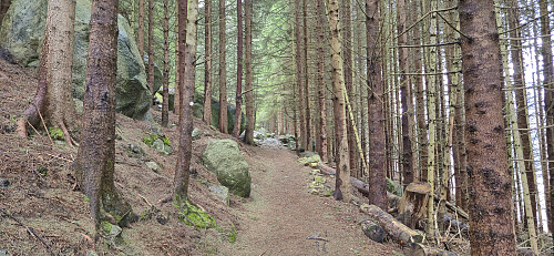 The trail to Ragdebu