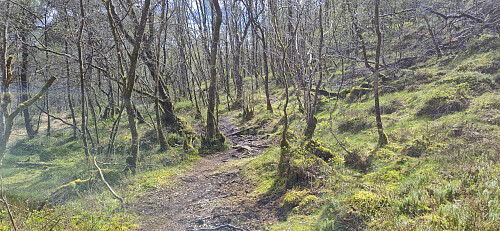 The trail from Breistein to Ytre Arna