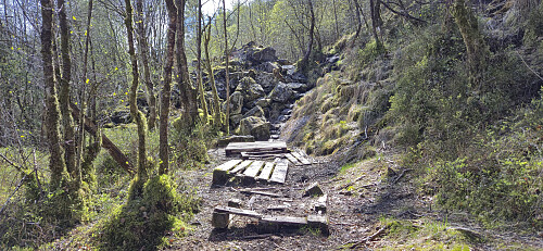 Almost at the end of the trail to Ytre Arna