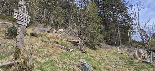 Trailhead at Undertun
