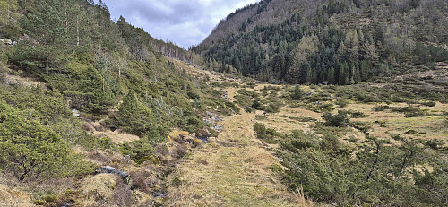 Tractor road from Undertun