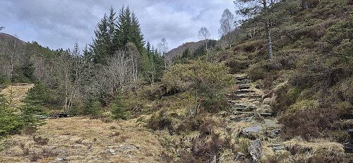 Trailhead for the roundtrip across Svabergsfjellet