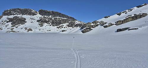 Nutavatnet