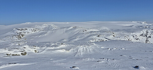 Hardangerjøkulen from Ramnabergnuten