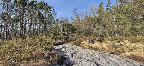 Looking back at the trail down from Fjellsol from the crossroads above Perabu