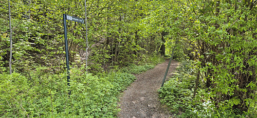 The start of the path to Nordbykollen