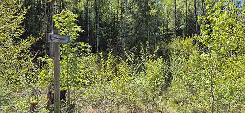 Short detour to Svenskeåsen