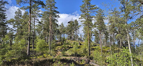 Approaching the lookout tower at Tårnet på Nordbykollen
