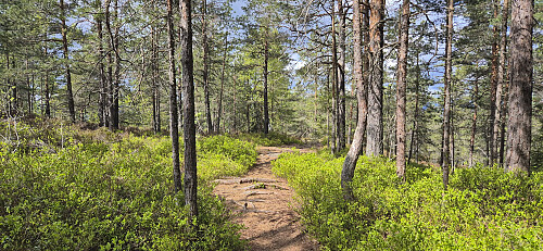 Descending from Nordbykollen