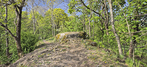 Tørtberg