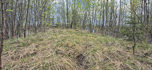 The highest point at Tryvannshøgda