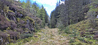 Tractor road from Undertun